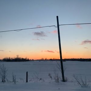 Meet your Posher, Annabelle